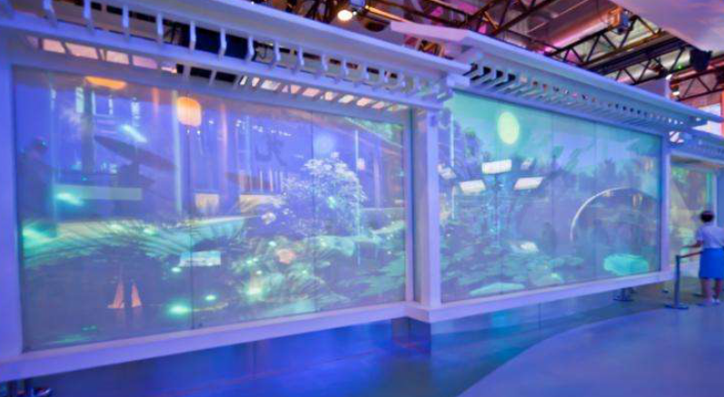 人气宠儿！味觉视觉双重冲击，一切精彩只在添鱼全镜烤鱼