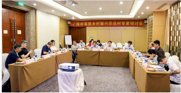 专家视野下的示范村建设 ——全国首份乡村振兴示范村第三方专家评估报告出