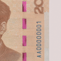 新版第五套人民币即将正式发行 教你如何辨别真伪