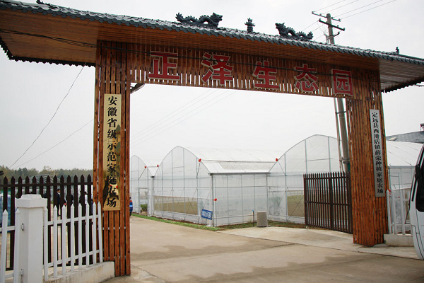 安徽定远：聚焦乡村振兴战略谱写绿色发展新篇章