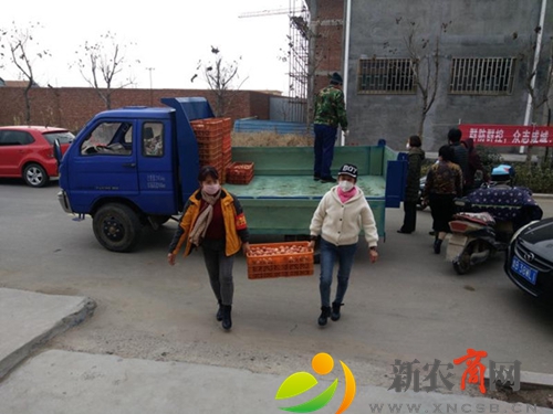 即墨：党员干部齐发力 保障村民的“菜篮子”