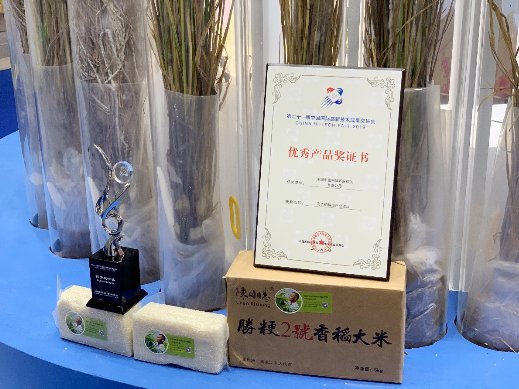 2019高交会∣富利臻携科技成果产业化平台荣获“优秀产品奖”与”优秀展示奖