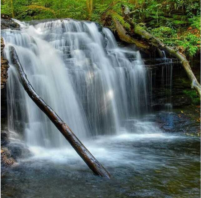 专访柳州市安森农业开发有限公司创始人刘仁安