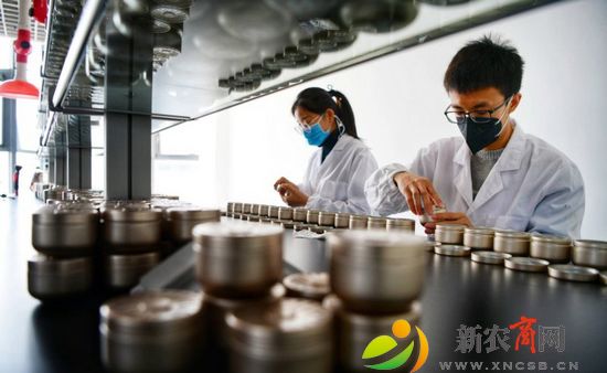 科研人员正在研究产品3.jpg