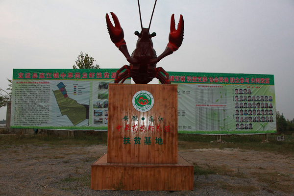 安徽定远：聚焦乡村振兴战略谱写绿色发展新篇章