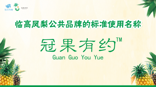 临高电子商务进农村凤梨产业推荐会主会圆满举行
