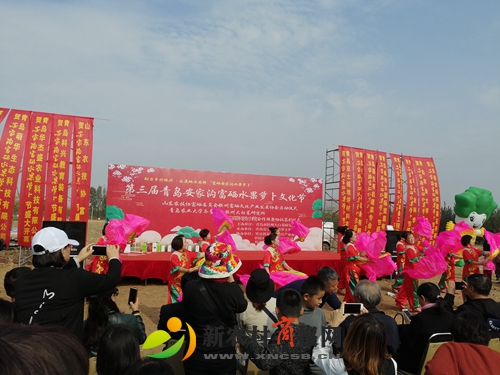 IMG_20191103_104637.jpg