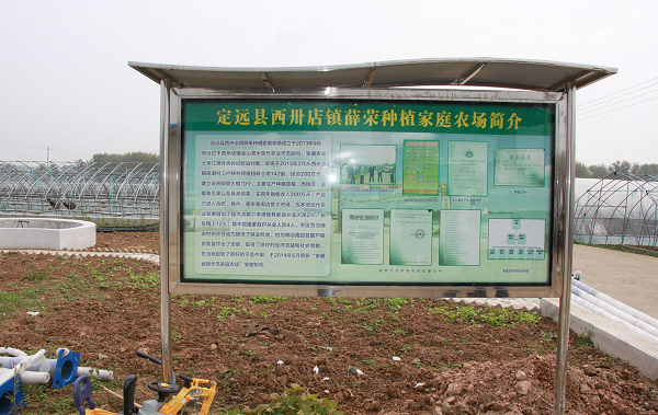 安徽定远：聚焦乡村振兴战略谱写绿色发展新篇章