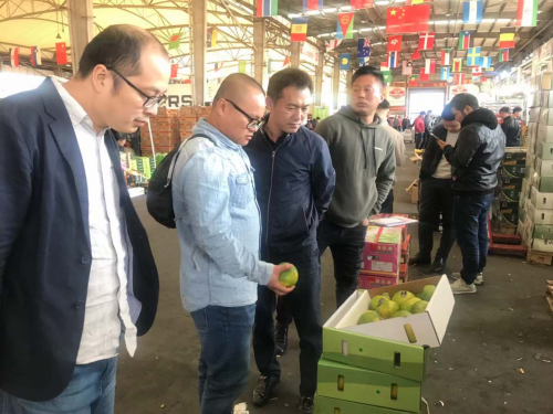 临高电子商务进农村凤梨产业推荐会主会圆满举行