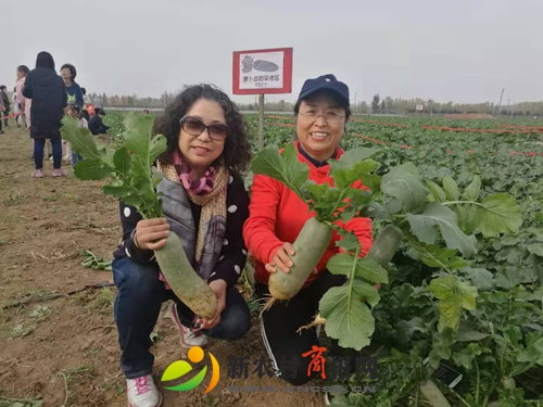 微信图片_20191103181218.jpg