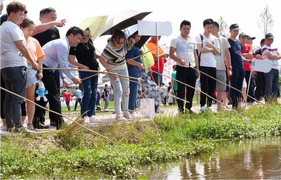 【重磅】全球直播回放│南县首届小龙虾捕捞节暨万人网红直播节圆满落幕！