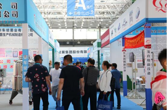 优化产业结构 实现创新驱动 助力黑木耳产业提档升级
