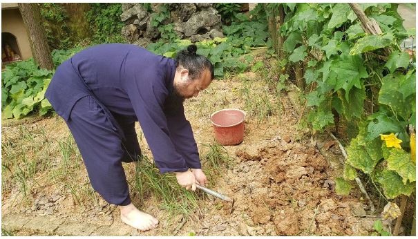 农民学者无量子谈阳台种菜技巧与季节时蔬