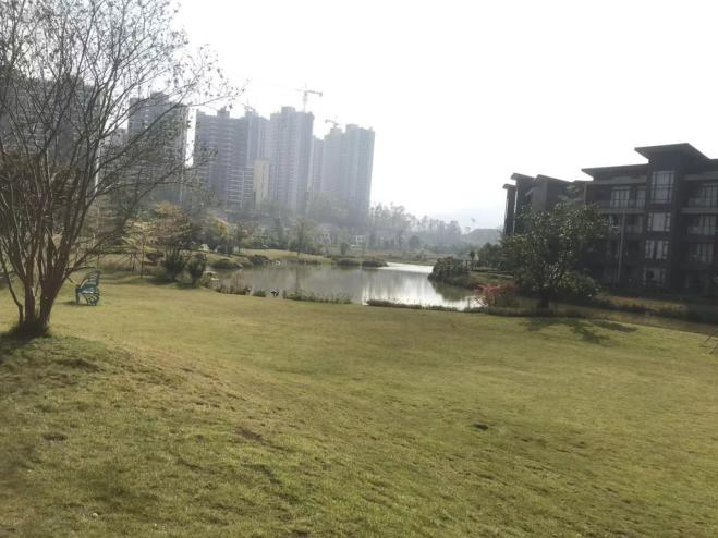创融时代联合文旅集团前往恩平，与爱必浓酒店实地勘察！