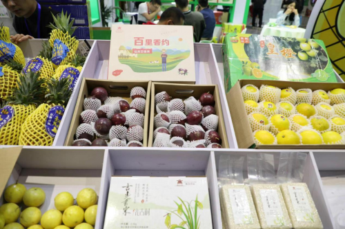 临高电子商务进农村凤梨产业推荐会主会圆满举行