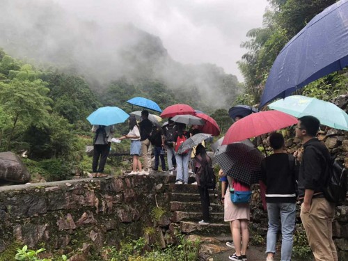 浙江大学生暑期进村建设“美丽庭院”