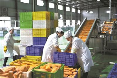 进城住新房、有固定工作……这些幸福看得见