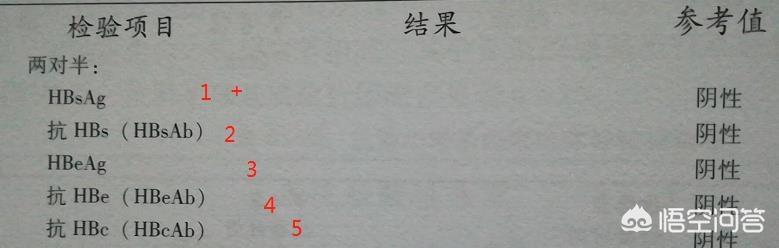 即我们平时说的有抗体，可以避免乙肝病毒的全称，是一个最好最理想的检验结果；第三，看到第1项出现阳性（