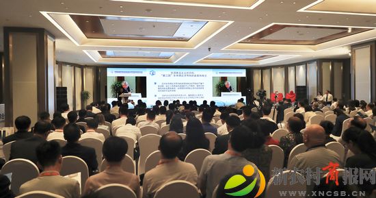 中国自由贸易试验区建设与东亚海洋合作论坛--朱春明摄影--影像西海岸供图11.jpg
