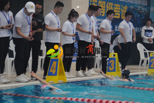 “泳”争第一！胶州市直机关在维多利亚游泳俱乐部举行游泳比赛！