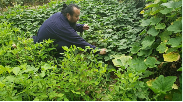农民学者无量子谈阳台种菜技巧与季节时蔬