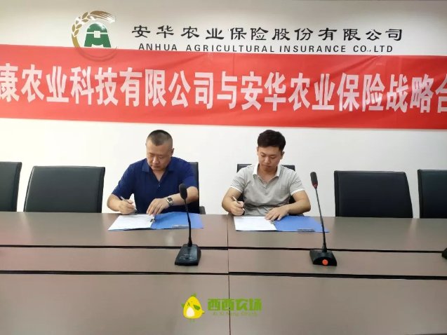 河北鼎优康农业科技有限公司与安华农业保险战略合作签约仪式