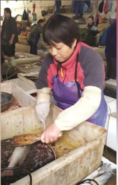坚强乐观的“孤掌杀鱼姐”：辛劳一年只休息一天