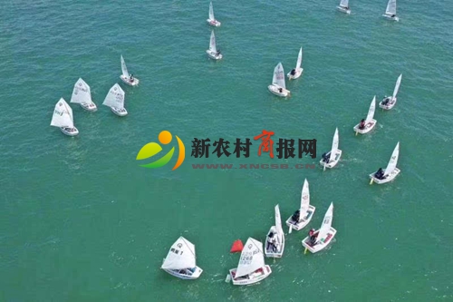 金银赛事 再创辉煌——2019青岛国际OP帆船营比赛异彩纷呈