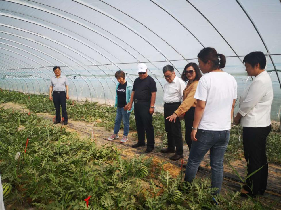 稷牌量子生物有机肥有何功效遭国民疯抢？