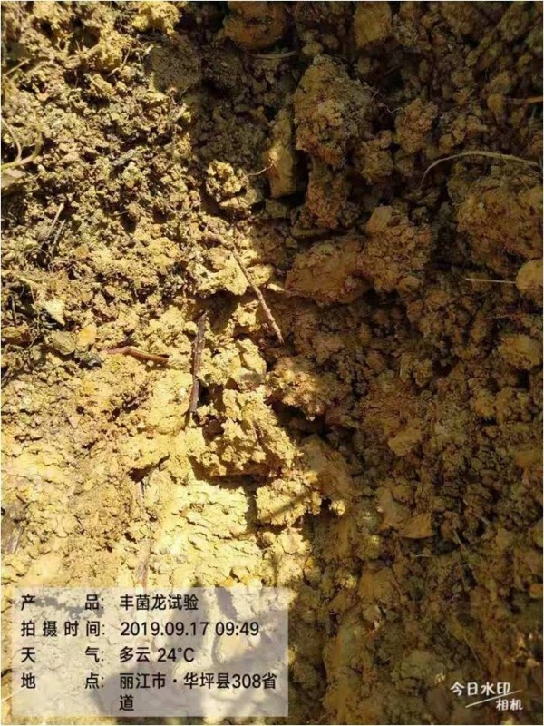 这款果农朋友都在用的生物有机肥——丰菌龙，到底有什么特别之处？