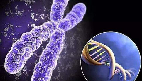 赴外试管婴儿找幸蕴汇，选专业机构生育率有保障