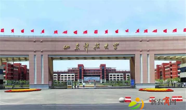 青岛西海岸新区3家单位入选首批山东省大数据人才培训基地 (2).jpg