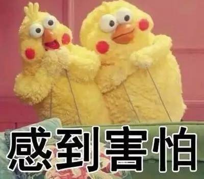 两只鸡被城管扣押后死了 当事人：活要见鸡，死要见尸