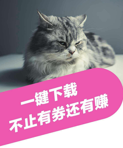 猫小贱如何省钱，如何赚钱，助力大学生上班族宝妈兼职副业？