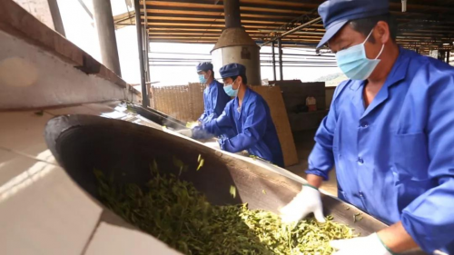十二块田：一茶一饼皆人生 携手嘉华共创新