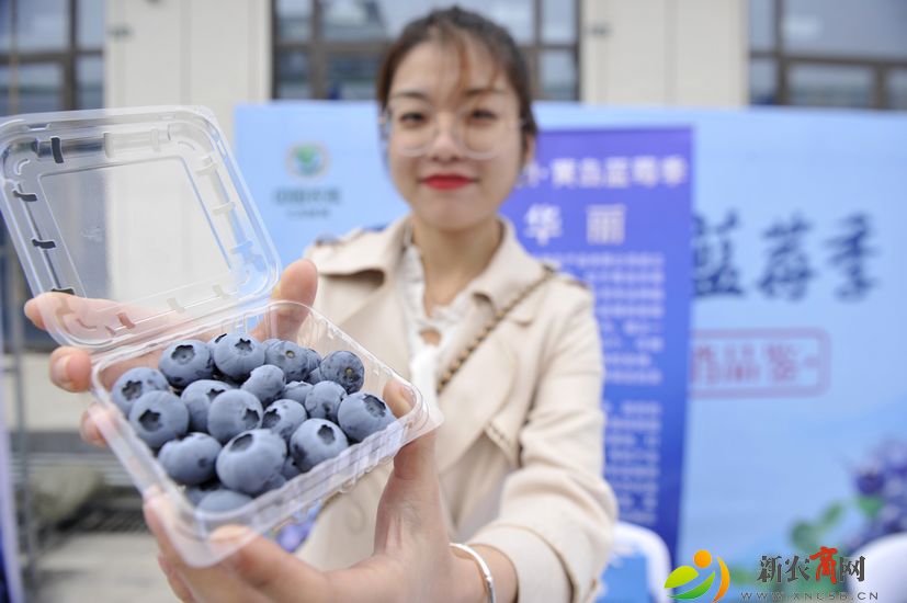 青岛西海岸新区2021“黄岛蓝莓季”启动.jpg