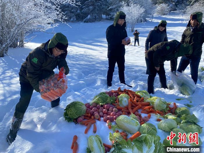 神农架国家公园：大规模人工补食助野生动物越冬