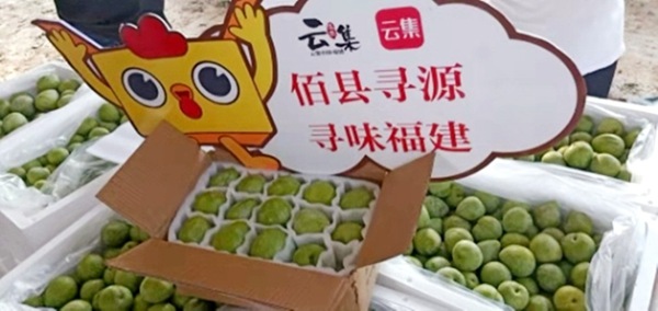 百县寻源，闽货出山—古田县优质农产品推荐会成功举办