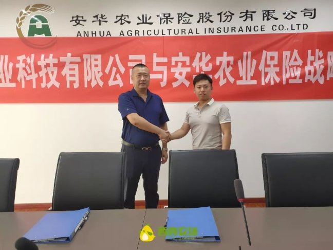 河北鼎优康农业科技有限公司与安华农业保险战略合作签约仪式