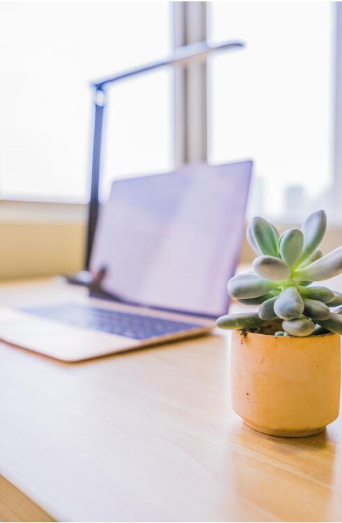 联合办公空间的新型创业生态