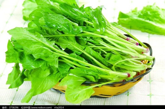 厦门新东方烹饪学校：春季多吃这五种蔬菜，美丽又健康