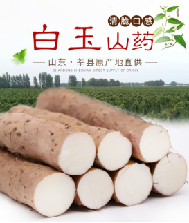 第二届王奉白玉山药电商文化大集盛大开幕，白玉山药燃爆线上线下