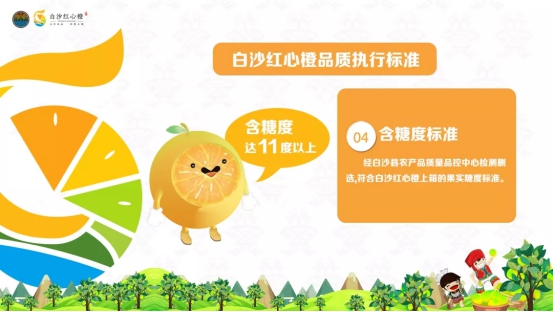 白沙良食 浑然天＂橙＂ 2019年白沙红心橙品牌推介会活动圆满结束！