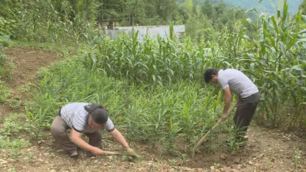 周洪：不能躺在政策的温床上睡大觉 脱贫要努力奋斗