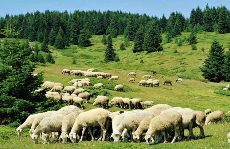 探访发源地 | 纽贝乐新西兰7天溯源之旅圆满落幕