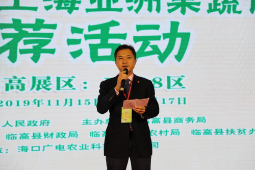 临高电子商务进农村凤梨产业推荐会主会圆满举行