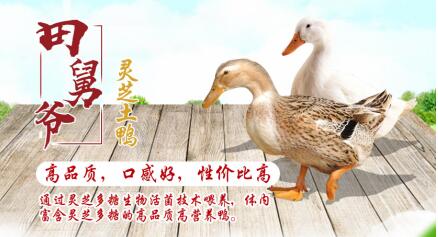 2019八方茂源集团生态农业智能物联网高峰论坛