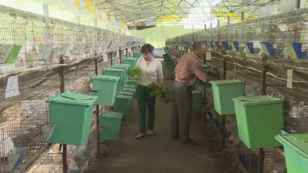 刘德富：政策帮扶入人心 脱贫致富有信心