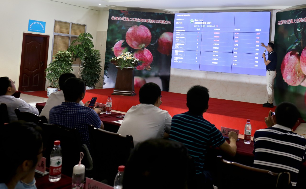 “会理石榴拍卖中心”揭牌仪式顺利举行