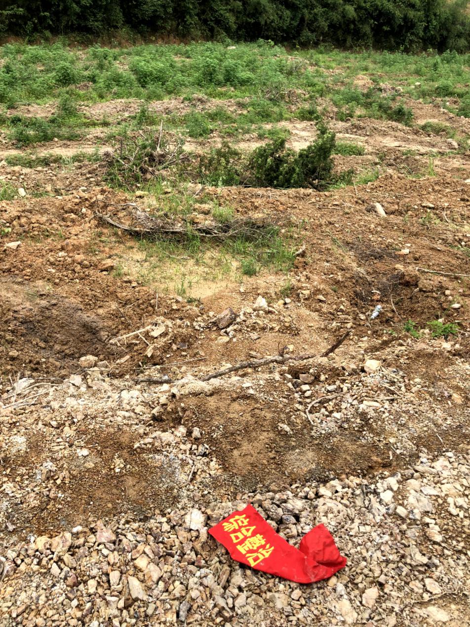 MAIN201907261015000150906557065.jpg